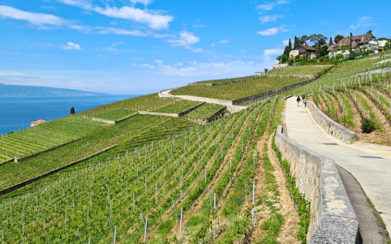 lavaux-feature